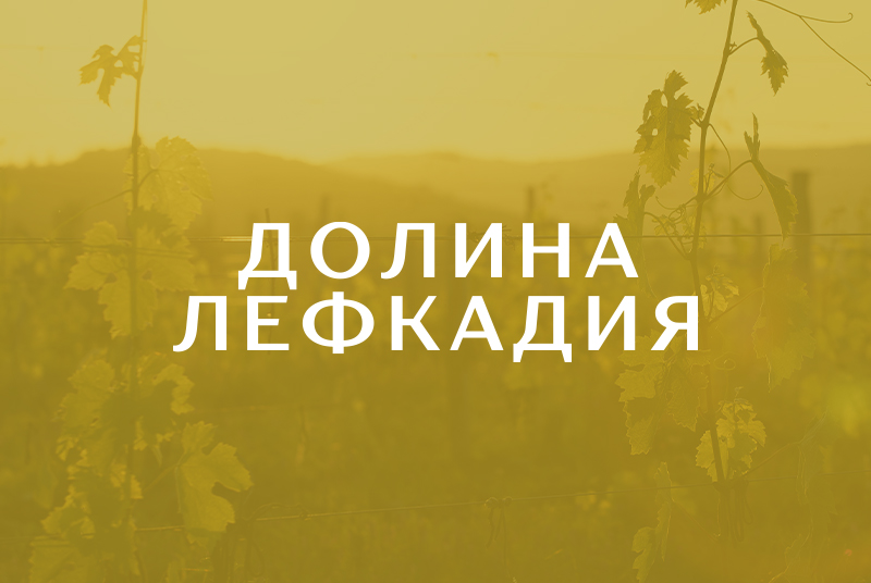 Из винодельни — в премиальный курорт: репозиционирование «Долины Лефкадия» в социальных сетях